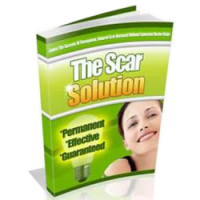 The Scar Solution